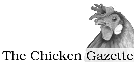 The Chicken Gazette